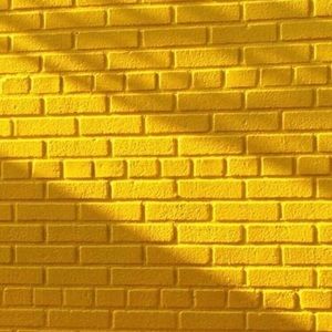 Meet your Posher, Ella